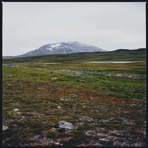 Atomnation/ Indigo Tundra