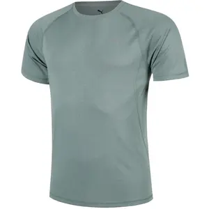 Puma, Hommes, T-shirt de sport, M Tee Run Velocity (Tri-Blend) (XL), Vert, XL