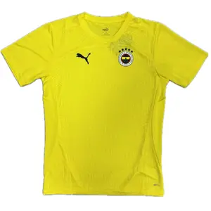 Puma Maillot d'entraînement Fenerbahçe 2024/25 pas cher
