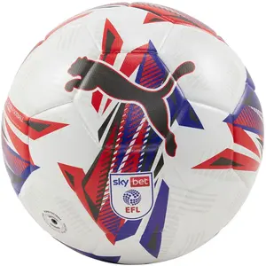 Comparateur de prix : Puma Ballon De Football Orbita 3 Sky Bet Efl 24/25