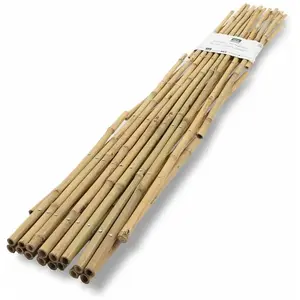 Comparateur de prix : casa pura Bamboe trellis - Latwerk - Rankhulp hout - Venstelbaar - 120...