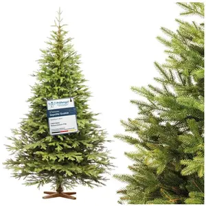 FAIRYTREES Sapin de Noël Artificiel 180 cm Nordmann Exclusif 100% PE Éléments naturels moulés par Injection Fabriqué en UE pas cher