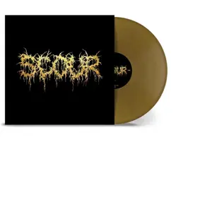 Import Gold pas cher