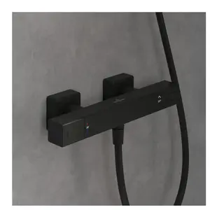 Mitigeur douche thermostatique VILLEROY ET BOCH Universal Taps & Fitti...