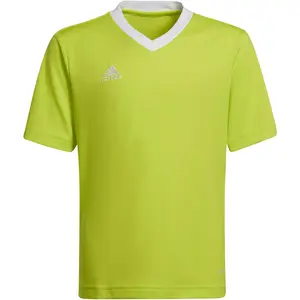 adidas - Entrada 22 Jersey Youth - Kids Groene Voetbalshirt -164Vendu parbol