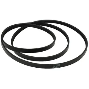 VHBW vhbw Courroie d'entraînement compatible avec Miele TDD230WP, TKB4...