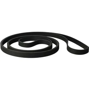 vhbw Courroie d'entraînement compatible avec Laden S 404, P710 WS-F sèche-linge - 199,2 cm noir pas cher
