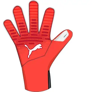 Puma Gants De Gardien De But Future Play Nc pas cher