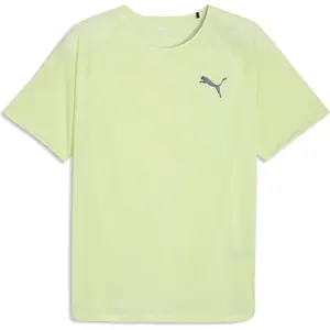 Puma Lightspeed https://tqm.i-run.be/?P4790B5819DB223S1UC413a49088338V4 Jaune/or XL pas cher