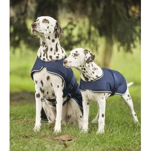 Waldhausen Regendeken Hond Maat 35 cm pas cher