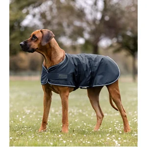 Waldhausen Regendeken Hond Maat 55 cmVendu parbol