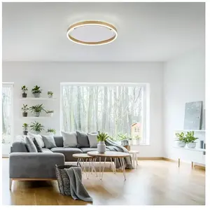 Paul Neuhaus Plafondlamp Ritus Gold Ø 40cm incl. Dimmer pas cher