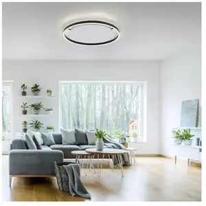 Paul Neuhaus - Plafondlamp Ritus Ø 59 cm antracietVendu pargalaxus