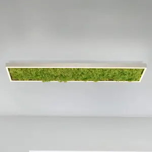 Leuchten Direkt, Applique + plafonnier, Green Knut (2850 lm) pas cher