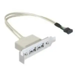 DeLOCK Slot bracket - câble USB - 50 cm pas cher