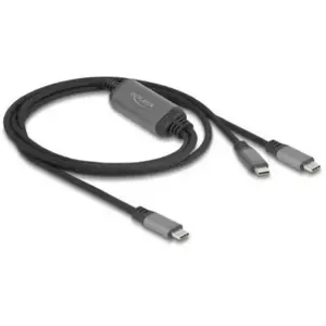 Delock 81271 Câble Y USB-C PD 100W 1,2m pas cher