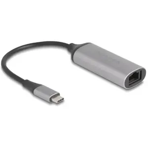 Delock adaptateur USB Type-c vers 5 Gigabit LAN pas cher