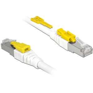 DeLOCK Patchkabel RJ45 CAT6A SFTP Secure 0.5 meter pas cher
