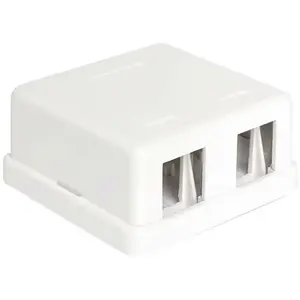 Delock Uitvoerdoos voor 2 Keystone modules / wit pas cher