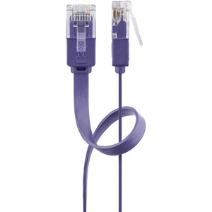 Goobay 96417 CAT 6 U/UTP Câble de Liaison Plat, Violet, 2m Longueur pas cher
