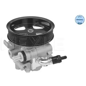 Servo pomp 53146310005 Meyle
