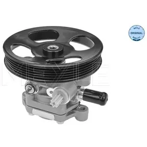 Servo pomp 32146310004 Meyle