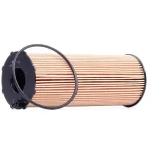Oliefilter 1003220025 Meyle pas cher