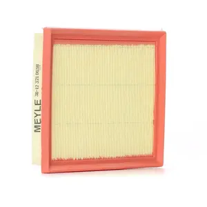 Meyle 30-12 321 0038 Filtre à air