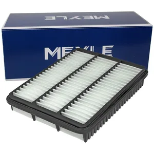 Meyle 30-12 321 0022 Filtre à air pas cher