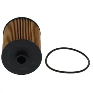 BOSCH Filtre à huile pour SKODA: Superb & VOLKSWAGEN: Touareg, CC, Passat & PORSCHE: Cayenne (Ref: F 026 407 320) pas cher