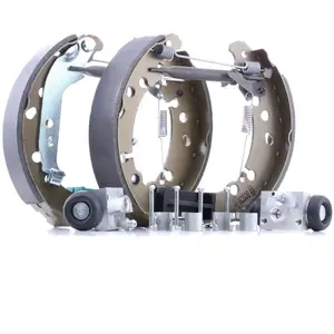 Bosch Automotive Remschoenset