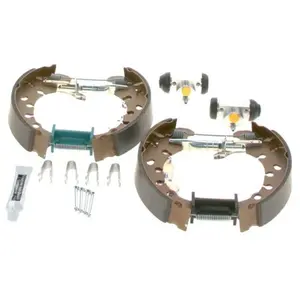 Bosch Remschoenset