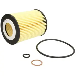 Bosch Automotive P7010 - Filtre à huile auto pas cher