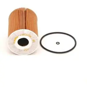 Bosch Automotive P7076 - Filtre à huile auto pas cher