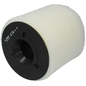 BOSCH Filtre à Air S0391 F026400391 pas cher