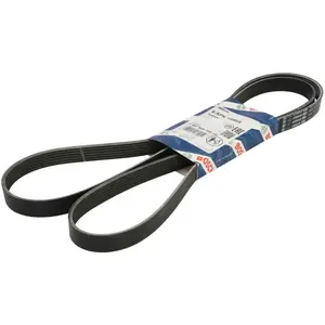 Comparateur de prix : Poly V-riem 6APK1986X Bosch