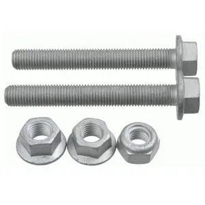 Lemförder Reparatieset wielophanging
