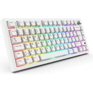 Sharkoon SGK55W wh DE (DE, Sans fil), Clavier, Blanc pas cher