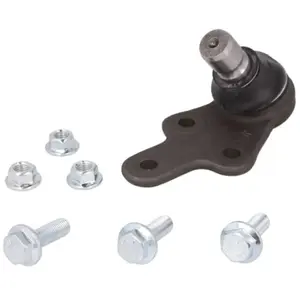 Fuseekogel VVBJ13892 Moog pas cher