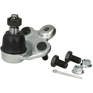 Fuseekogel HOBJ10440 Moog pas cher