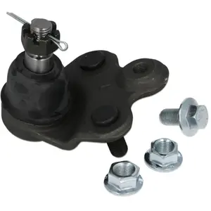 Fuseekogel HOBJ10439 Moog pas cher