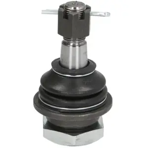 Fuseekogel NIBJ10804 Moog pas cher