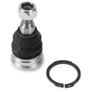 Comparateur de prix : Fuseekogel HYBJ4920 Moog