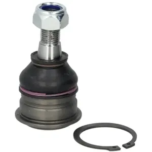 Fuseekogel NIBJ2309 Moog pas cher