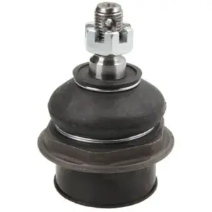 Comparateur de prix : Fuseekogel KIBJ13409 Moog