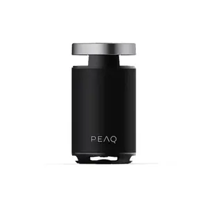 Peaq Pps 170 Partyspeaker pas cher