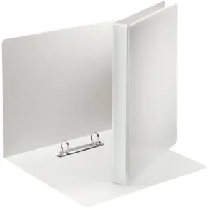 Esselte Leitz 49739 Classeur 2 anneaux avec pochettes Format A4 Dos 40 mm Plastique Blanc (Import Allemagne) pas cher