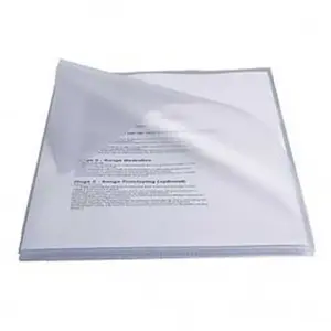 ESSELTE 623899 Dossiers à onglets PVC 250 microns (boîte 50 pièces) DIN A4 Transparent pas cher