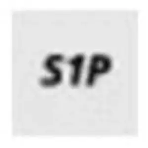 Stabilus, Chaussures de travail, Halschuh RUDI LOW YELLOW, S1Ps, Gr. 48 (S1P, 48) pas cher
