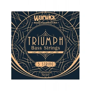 Warwick Warwick 44210 - Triumph Bass Low B .049-.128 Jeu Cordes Contrebasse pas cher